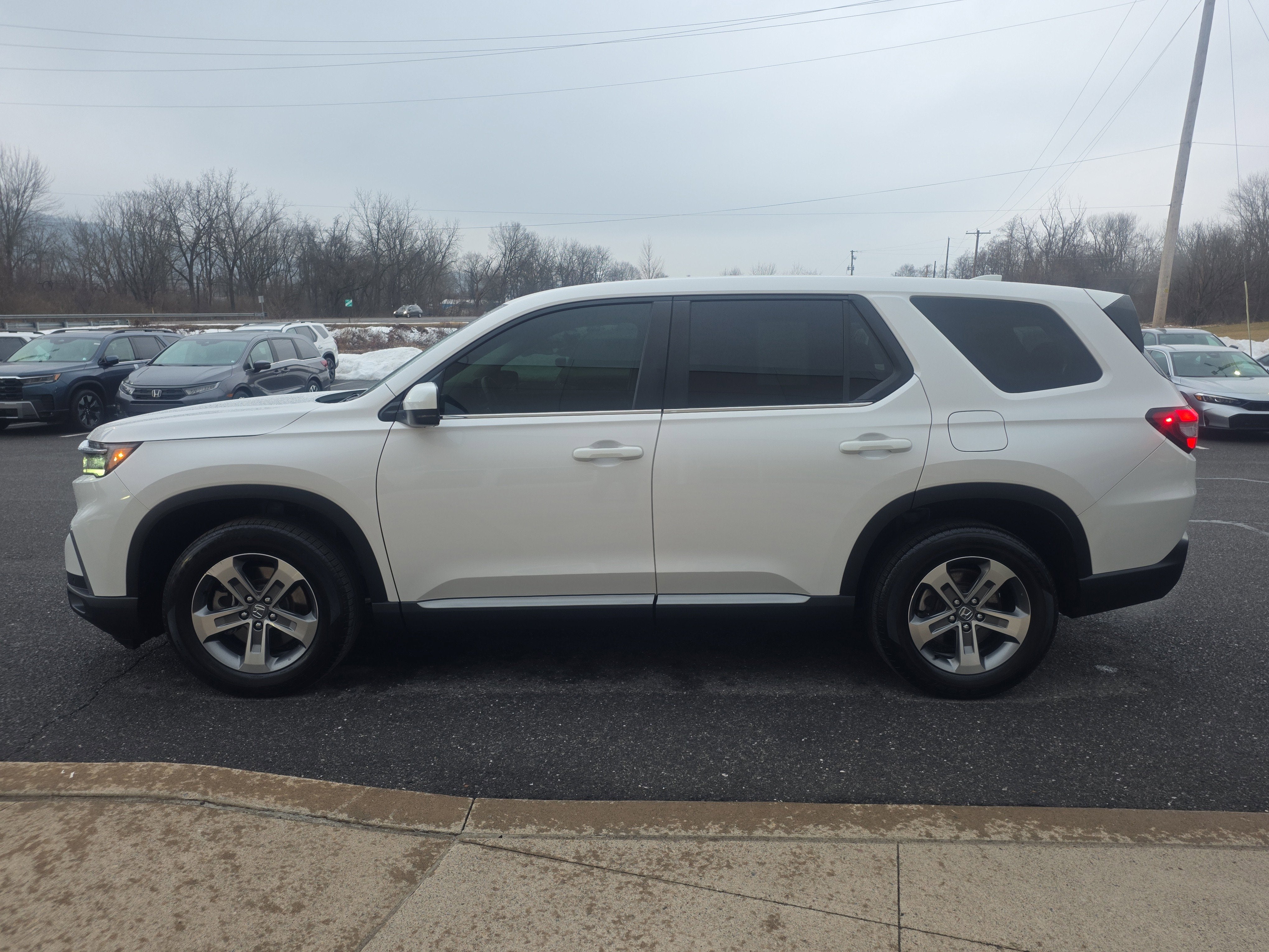 2023 Honda Pilot EX-L 7 Passenger